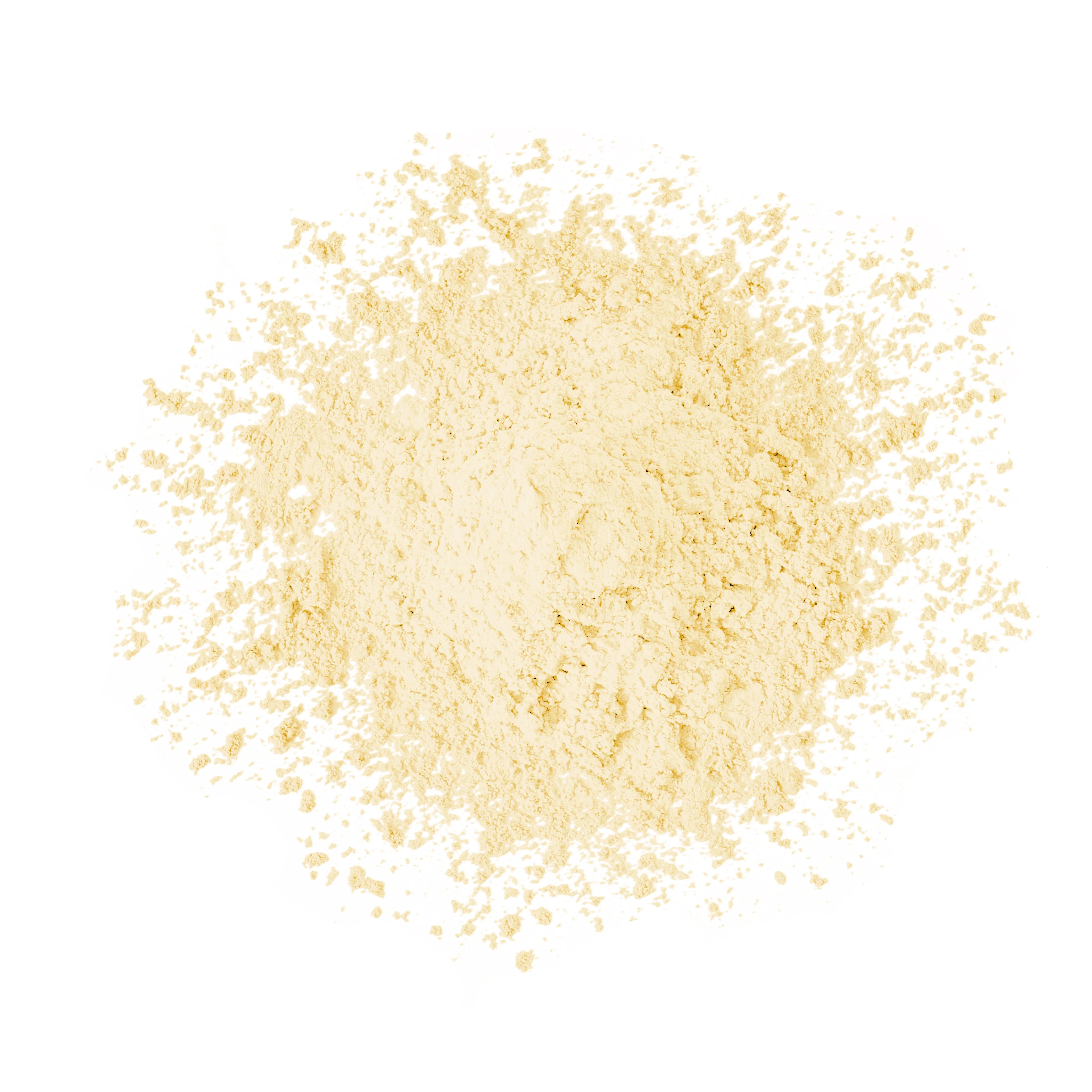 Invisible Loose Powder - 2026 Edition